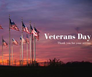 american flags at sunset with the text of Veterans Day, thank you for your service