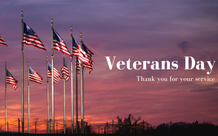 american flags at sunset with the text of Veterans Day, thank you for your service