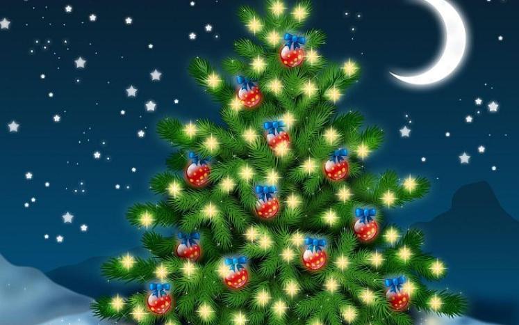 Christmas tree by moonlight