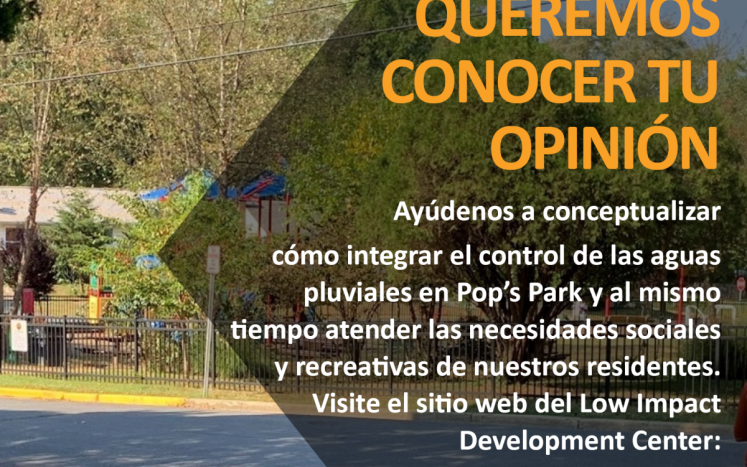 Pop's Park survey