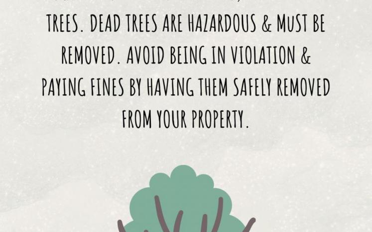Hazardous Trees